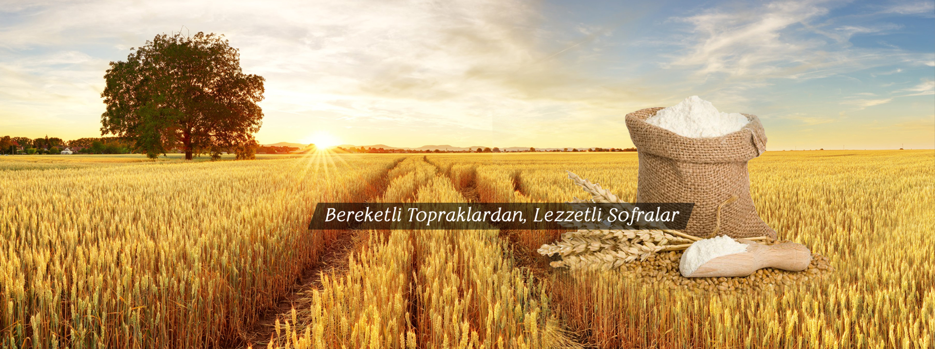 Ocaklar Tarım Ürünleri